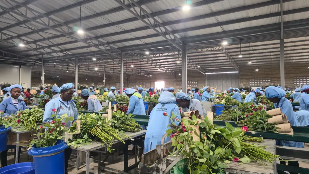 微电子技术前沿：集成电路在工业控制领域的应用与发展趋势