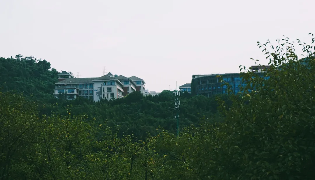 2025年长三角半导体器件供应链趋势分析与应对策略
